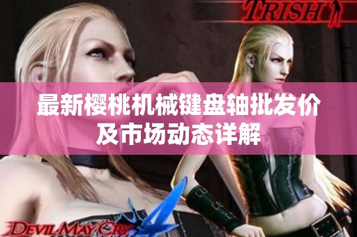 最新樱桃机械键盘轴批发价及市场动态详解