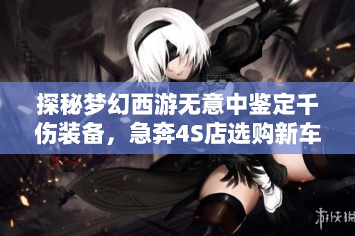 探秘梦幻西游无意中鉴定千伤装备，急奔4S店选购新车