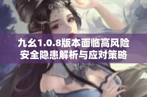 九幺1.0.8版本面临高风险安全隐患解析与应对策略