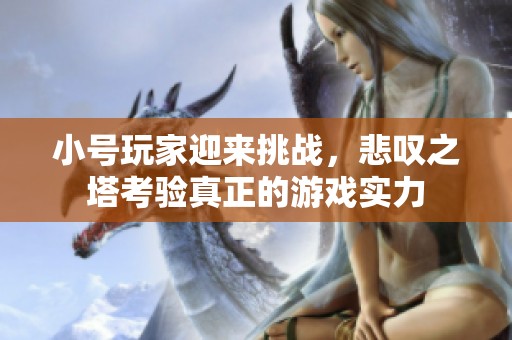 小号玩家迎来挑战，悲叹之塔考验真正的游戏实力