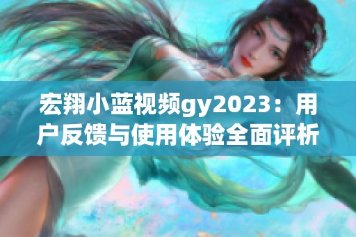 宏翔小蓝视频gy2023：用户反馈与使用体验全面评析