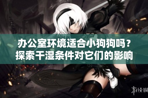 办公室环境适合小狗狗吗？探索干湿条件对它们的影响