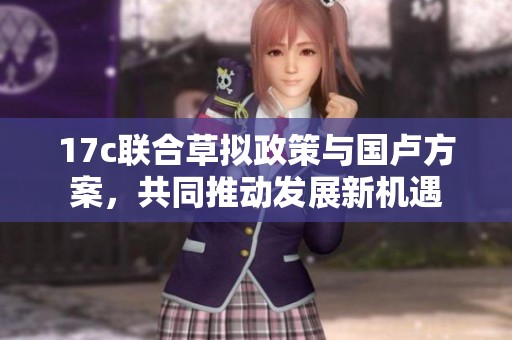 17c联合草拟政策与国卢方案，共同推动发展新机遇