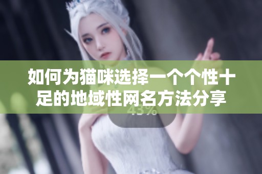 如何为猫咪选择一个个性十足的地域性网名方法分享