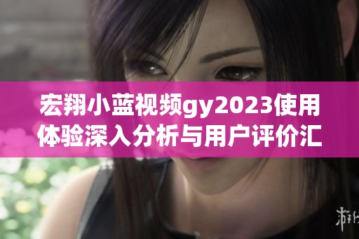 宏翔小蓝视频gy2023使用体验深入分析与用户评价汇总