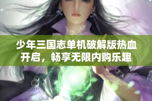 少年三国志单机破解版热血开启，畅享无限内购乐趣