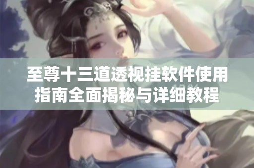 至尊十三道透视挂软件使用指南全面揭秘与详细教程