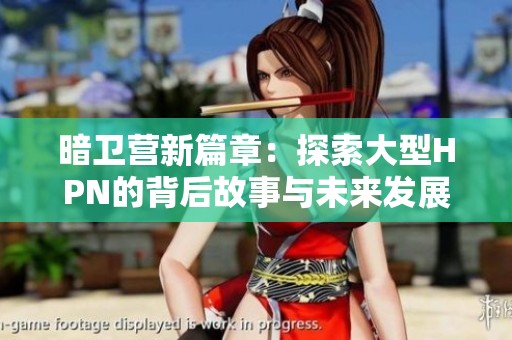 暗卫营新篇章：探索大型HPN的背后故事与未来发展