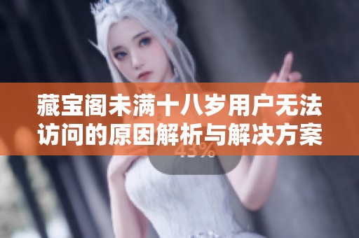 藏宝阁未满十八岁用户无法访问的原因解析与解决方案