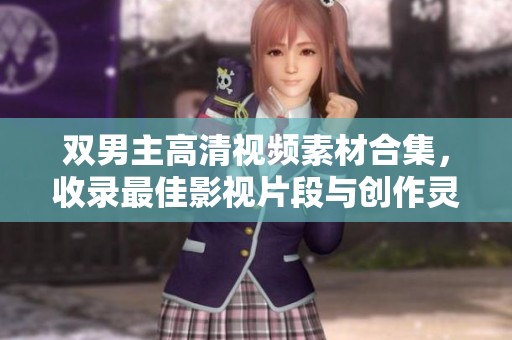 双男主高清视频素材合集，收录最佳影视片段与创作灵感