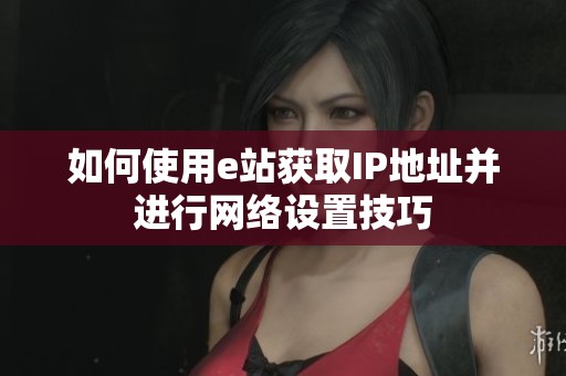 如何使用e站获取IP地址并进行网络设置技巧