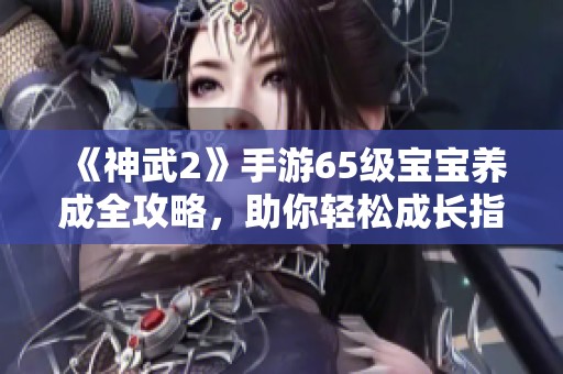 《神武2》手游65级宝宝养成全攻略，助你轻松成长指南