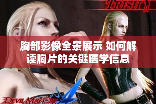 胸部影像全景展示 如何解读胸片的关键医学信息