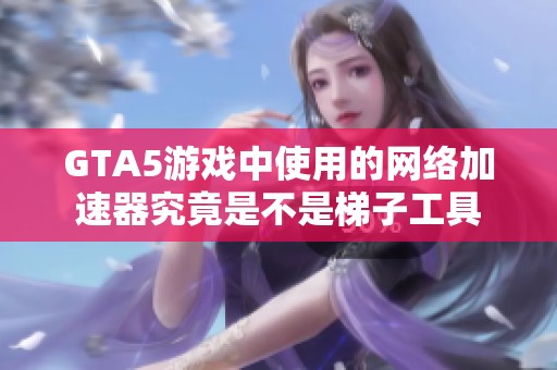 GTA5游戏中使用的网络加速器究竟是不是梯子工具