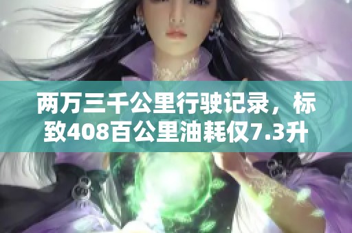 两万三千公里行驶记录，标致408百公里油耗仅7.3升