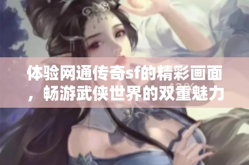 体验网通传奇sf的精彩画面，畅游武侠世界的双重魅力