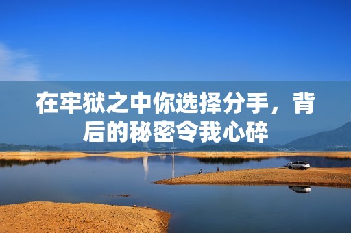 在牢狱之中你选择分手，背后的秘密令我心碎