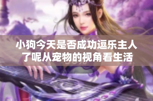 小狗今天是否成功逗乐主人了呢从宠物的视角看生活