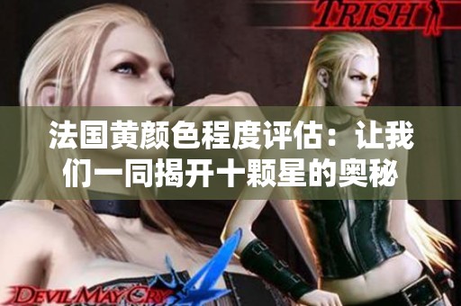 法国黄颜色程度评估：让我们一同揭开十颗星的奥秘