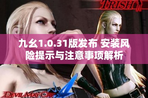 九幺1.0.31版发布 安装风险提示与注意事项解析