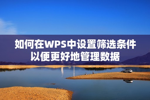 如何在WPS中设置筛选条件以便更好地管理数据