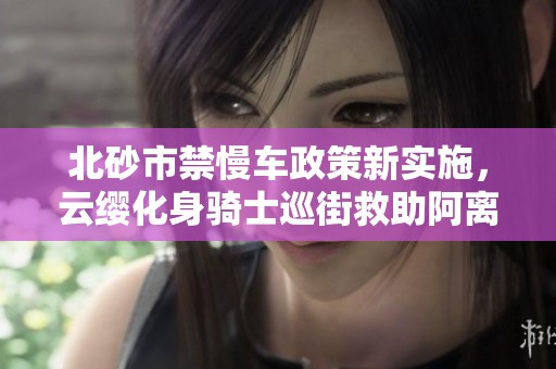 北砂市禁慢车政策新实施，云缨化身骑士巡街救助阿离