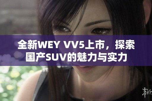 全新WEY VV5上市，探索国产SUV的魅力与实力