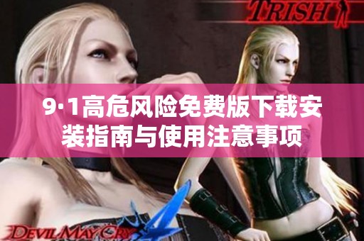 9·1高危风险免费版下载安装指南与使用注意事项