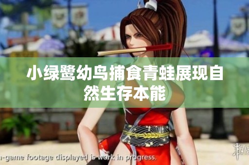 小绿鹭幼鸟捕食青蛙展现自然生存本能