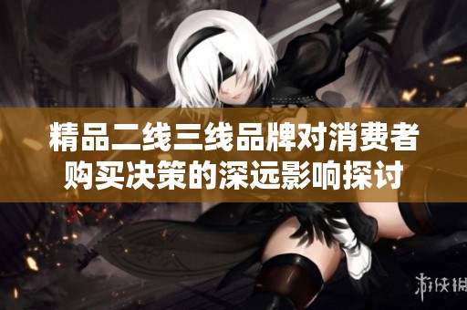 精品二线三线品牌对消费者购买决策的深远影响探讨