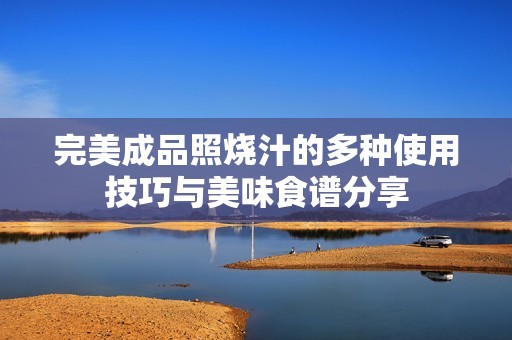 完美成品照烧汁的多种使用技巧与美味食谱分享