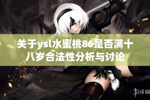 关于ysl水蜜桃86是否满十八岁合法性分析与讨论