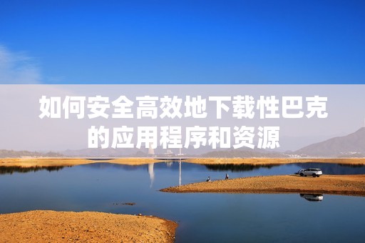 如何安全高效地下载性巴克的应用程序和资源
