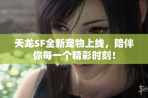 天龙SF全新宠物上线，陪伴你每一个精彩时刻！