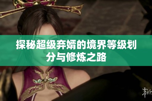 探秘超级弃婿的境界等级划分与修炼之路