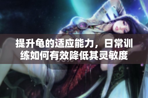 提升龟的适应能力，日常训练如何有效降低其灵敏度