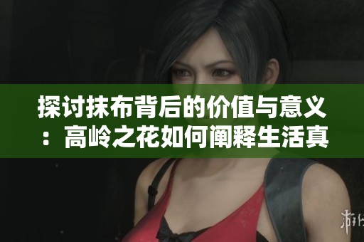 探讨抹布背后的价值与意义：高岭之花如何阐释生活真谛