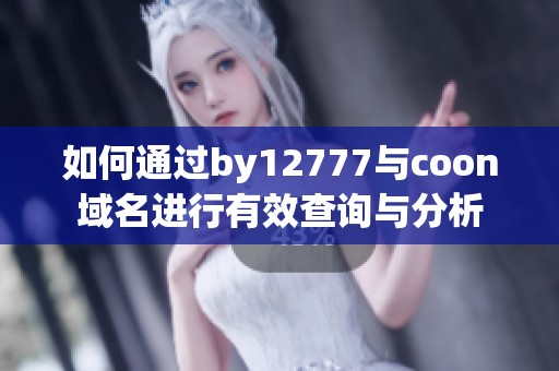 如何通过by12777与coon域名进行有效查询与分析