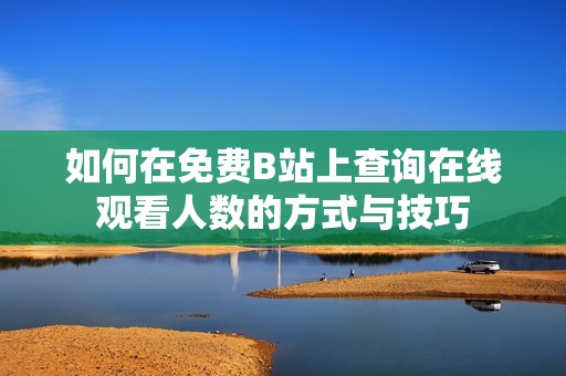 如何在免费B站上查询在线观看人数的方式与技巧
