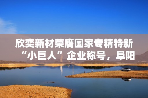 欣奕新材荣膺国家专精特新“小巨人”企业称号，阜阳再添骄傲