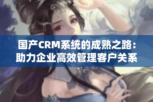 国产CRM系统的成熟之路：助力企业高效管理客户关系