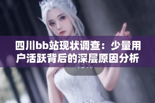 四川bb站现状调查：少量用户活跃背后的深层原因分析
