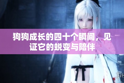 狗狗成长的四十个瞬间，见证它的蜕变与陪伴