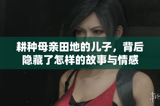 耕种母亲田地的儿子，背后隐藏了怎样的故事与情感