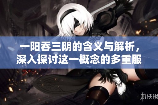 一阳吞三阴的含义与解析，深入探讨这一概念的多重服务功能