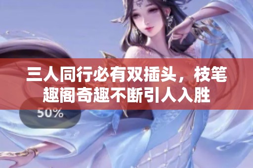三人同行必有双插头，枝笔趣阁奇趣不断引人入胜