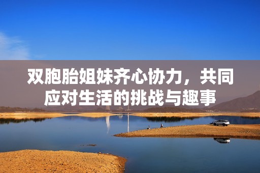 双胞胎姐妹齐心协力，共同应对生活的挑战与趣事