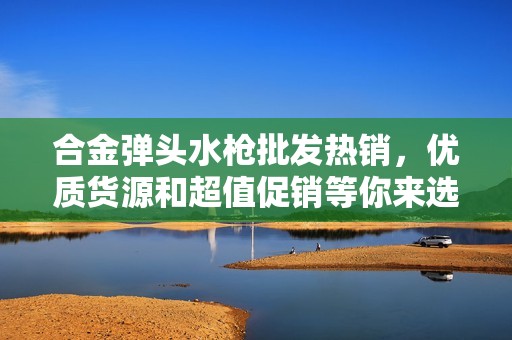 合金弹头水枪批发热销，优质货源和超值促销等你来选购