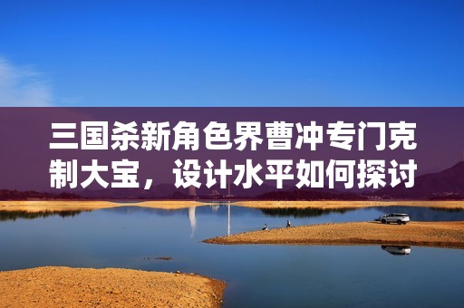 三国杀新角色界曹冲专门克制大宝，设计水平如何探讨