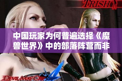 中国玩家为何普遍选择《魔兽世界》中的部落阵营而非联盟阵营